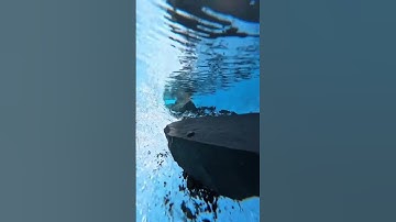 #راحة_نفسية ما تسير من سورة القصص