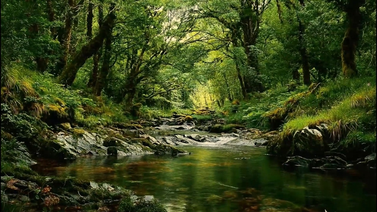 Nature's Healing: Gentle River & Birdsong to Wash Away Stress