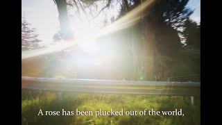 Poem: World Without End - Carmen Cullen