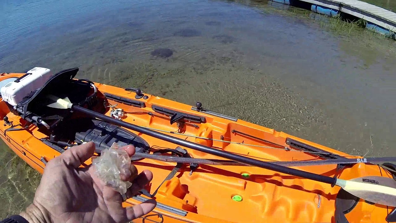 Loon Lake Fishing 250618 YouTube