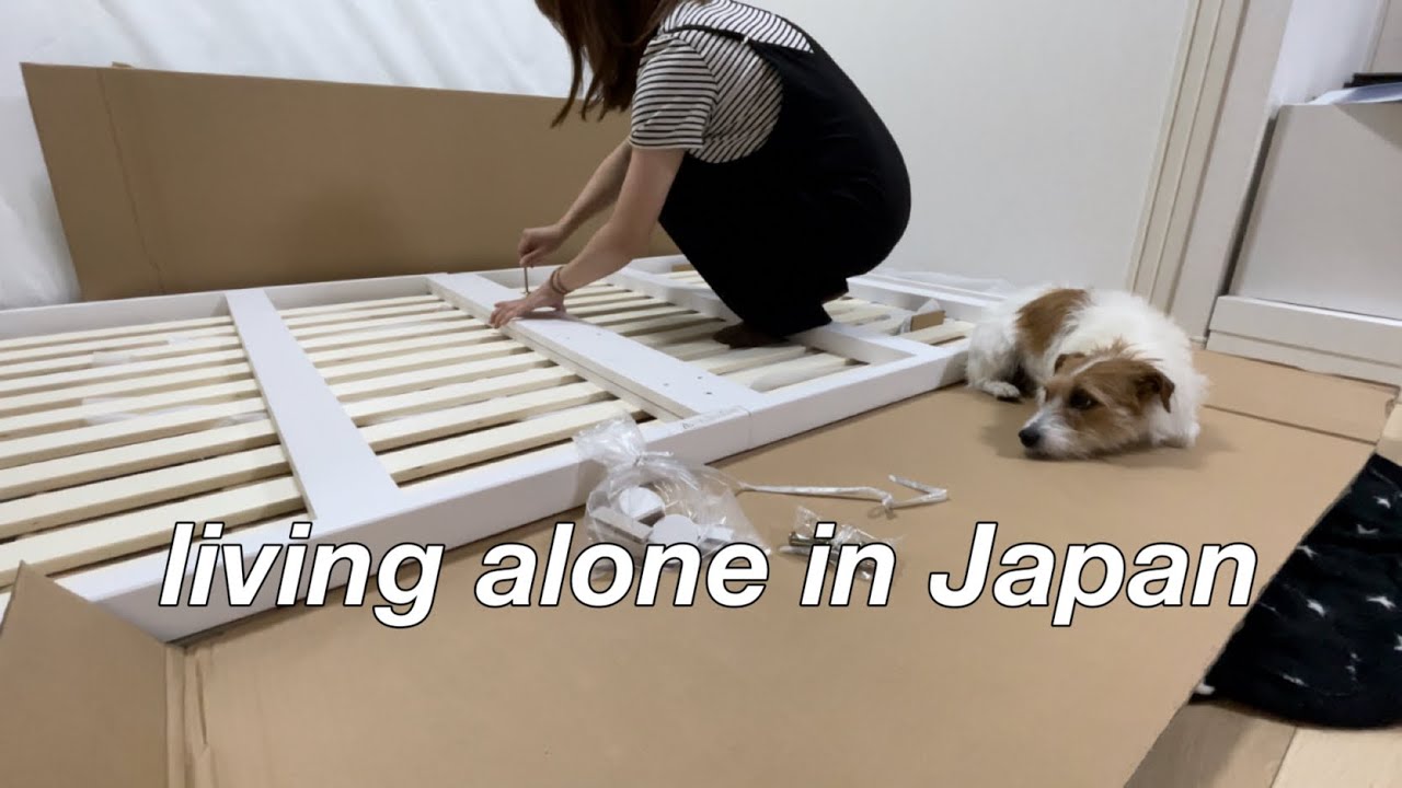 打造日本新家❗️各種日本家電傢俱生活用品、一個人日本新生活vlog
