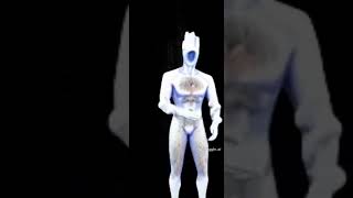 Im Minos Prime Im Minos Prime Im Minos Prime