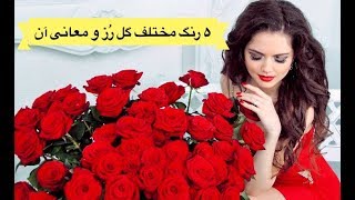 ۵ تا از رنگ های گل رُز و معانى آن