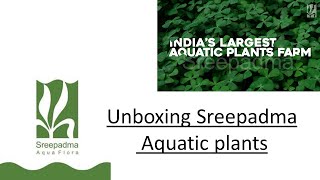 Sreepadma Aquatic Plants Unboxing..