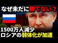 わざと? なぜロシアは未だに勝てないのか?【ゆっくり解説】