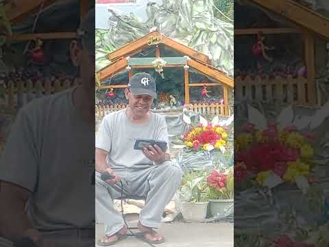 BENARKAH DOGGY STYLE BISA MEMBUAT HUBUNGAN LEBIH INTIM? #shorts