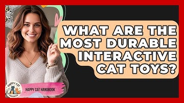What Are The Most Durable Interactive Cat Toys? - Happy Cat Handbook