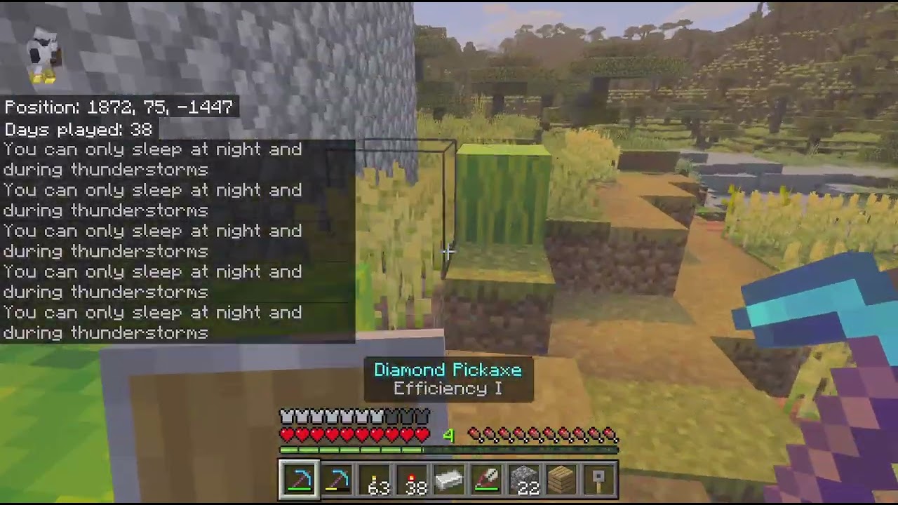 Minecraft_pt1 of exploring caves and my world