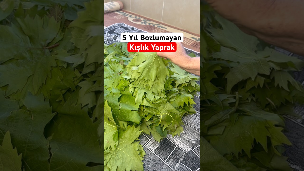 Kışlık Yaprak Basması #yemektarifleri #tarif #pratiktarifler #yemek #pratiktatlitarifleri #food
