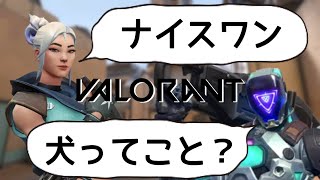 なんか僕のこと犬扱いする女の子が野良VCにいたから困らせてあげました【ジャキRANT#9】 screenshot 5