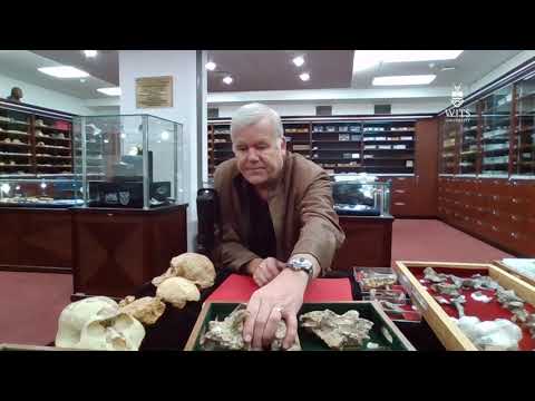 Introduction to Sterkfontein