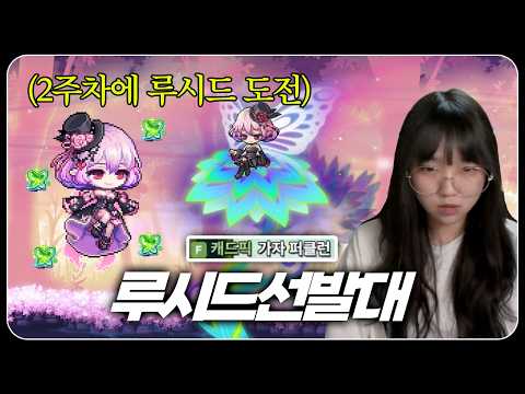 루시드 카벨 3분컷 레전드 루시드선발대