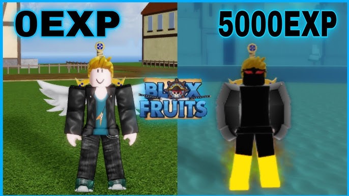 RACE REROLL OR NOT???? : r/bloxfruits