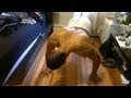 Home Work Out Increase Your Bench Press With Push Ups Home Work Out Increase Your Bench Press With Push Ups