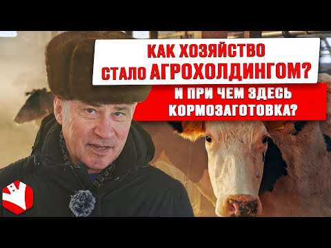 Как хозяйство стало агрохолдингом и при чем тут кормозаготовка? | Заготовка кормов