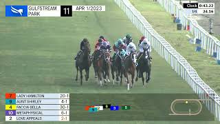 Vidéo de la course PMU SANIBEL ISLAND STAKES