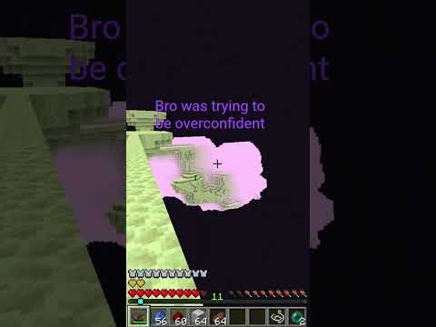 bro was trying to be overconfident #editlyrics #mychannel #minecraftshorts #shortsfeed