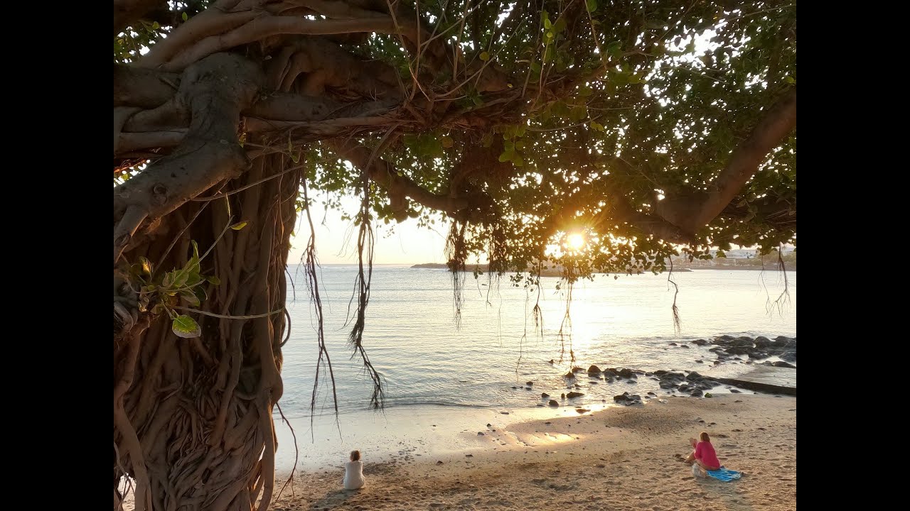 Ile de la Réunion, Bord de mer de Terre - Sainte @ sunset