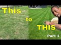 How to [FIX an UGLY LAWN] | Golf Course Lawn RENOVATION Ep. 1 [WEEDS]