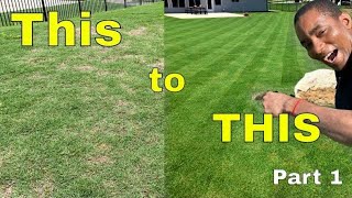 How to [FIX an UGLY LAWN] | Golf Course Lawn RENOVATION [WEED CONTROL]