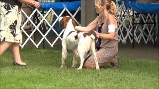 2015 MBC Specialty Show by Dawn Droel 371 views 8 years ago 22 minutes