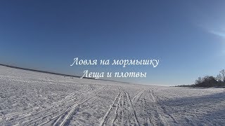 Зарисовки о рыбалке: Ловля леща и плотвы на мормышку. Река Обва