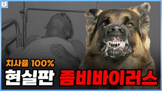 광견병에 걸리면 어떻게 될까..?ㅎㄷㄷ
