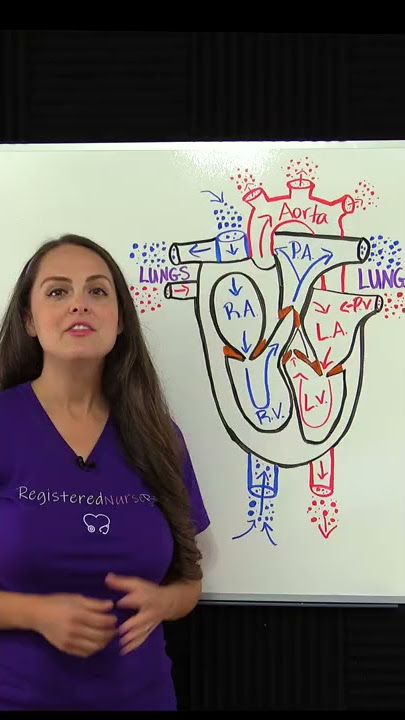 Heart Blood Flow Explained in 45 SECONDS  #shorts