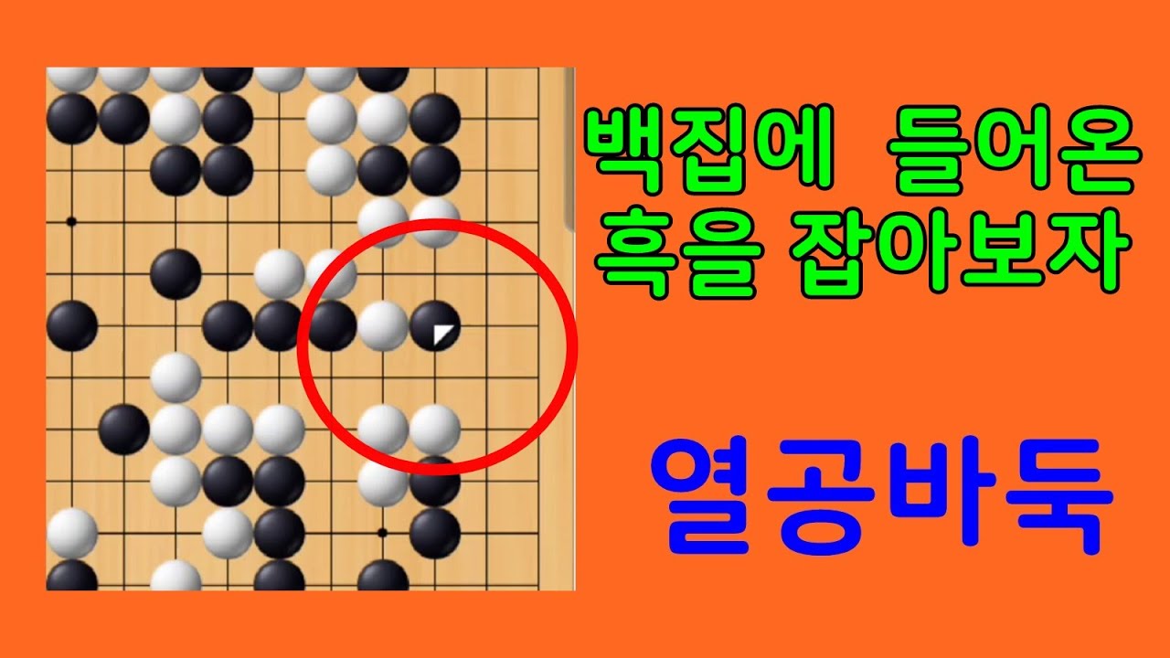 백집에 들오온 흑을 잡아보자 열공바둑두기 타이젬 5단기보보기입니다 #바둑두기 #바둑초보 #바둑배우기 #gameplay # ...