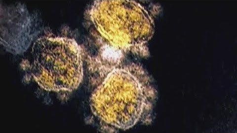 Alpha, Delta, Lambda: What you need to know about the different COVID-19 strains