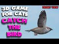 3d game for cats  catch the bird front view  4k 60 fps stereo sound