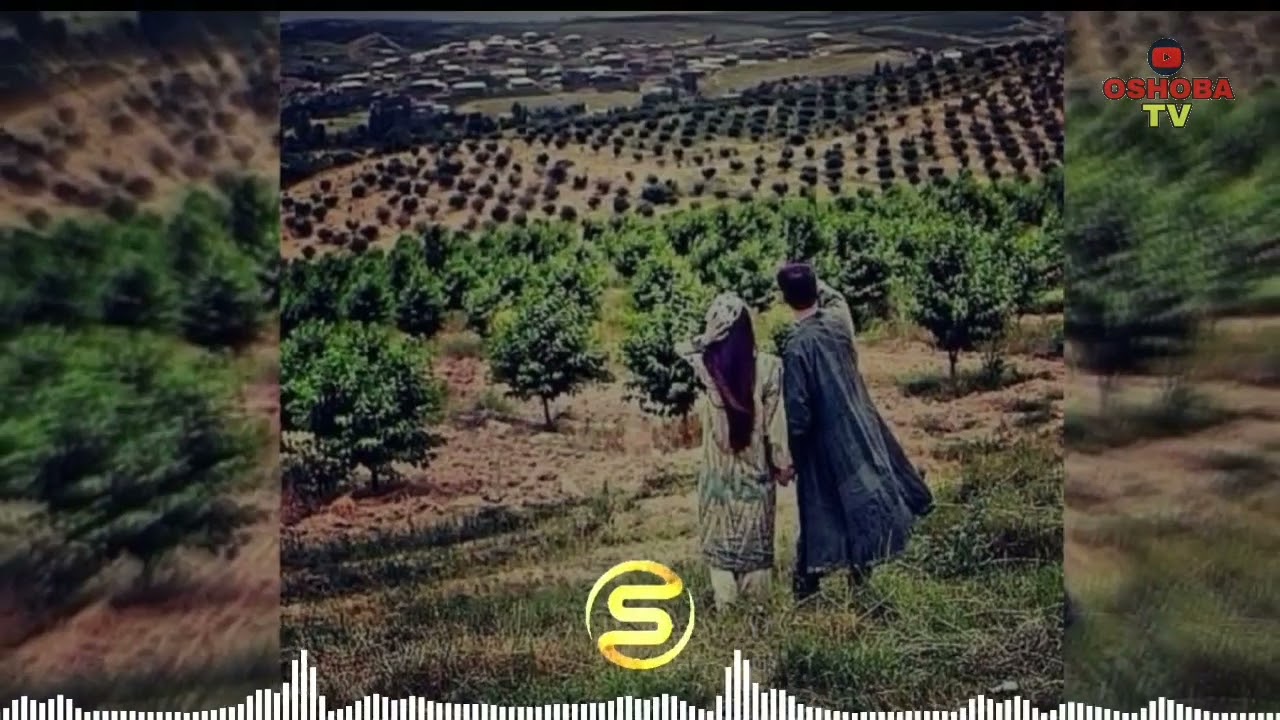 Qizlar onanistning qo‘l telefonida erkalab turganini tasvirga olishdi. Issiq talabalar bilan jinsiy aloqa