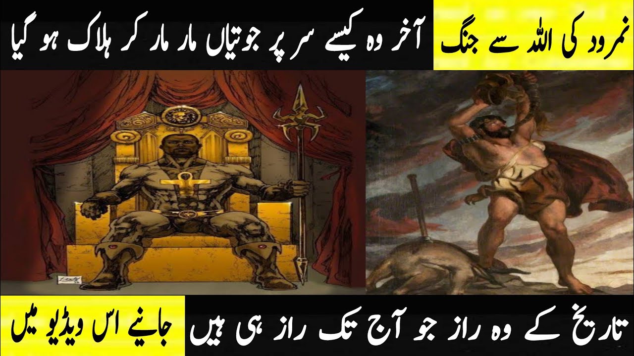 What Was The End of Nimrod Who Threw Hazrat Ibrahim a.s Into The Fire