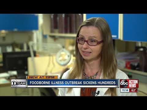 Foodborne illness outbreak sickens dozens in the Tampa Bay area