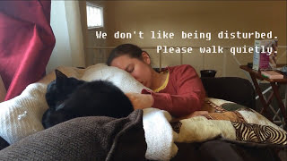 Keyglyph Cat Take A Nap