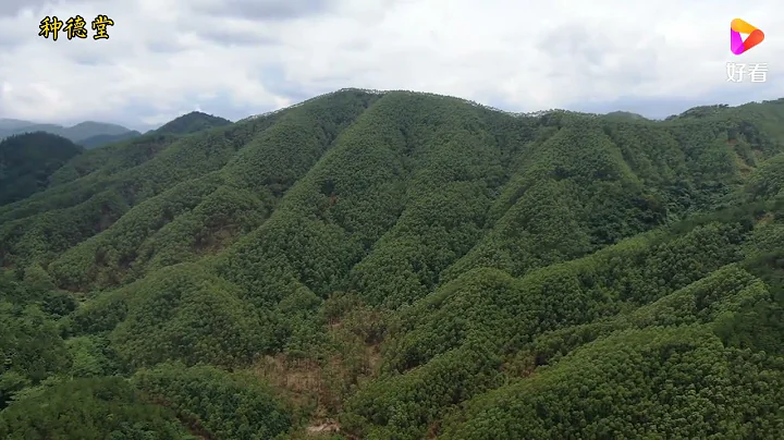 古代明师手迹，一山双向“童子捧书” - 天天要闻