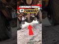 Ninguém fala disso... mas eu vim contar debaixo do caminhão #caminhão #caminhoneiro
