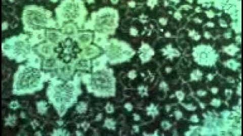 سورة القارعة الشيخ احمد صالح