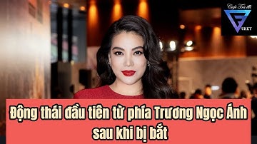 Tội danh diễn viên Trương Ngọc Ánh bị khởi tố có mức án đến 20 năm tù