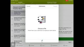 Canvas Assignment on iPad: File Upload