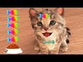 Play Fun Pet Care Kids Game - Little Kitten My Favorite Cat - Fun Cute Kitten Game For Children