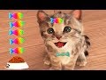 Play Fun Pet Care Kids Game - Little Kitten My Favorite Cat - Fun Cute Kitten Game For Children