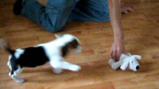 DSCF1584.AVI