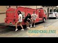 In My Feelings #ShiggyChallenge with Chie Filomeno &amp; Jessica Marasigan | Mica Javier