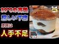 【ゆっくり解説】ティラミスで700人近くがサルモネラに感染 食中毒の原因は工場の人手不足？『ティラミスによる集団食中毒事例』【1990年】