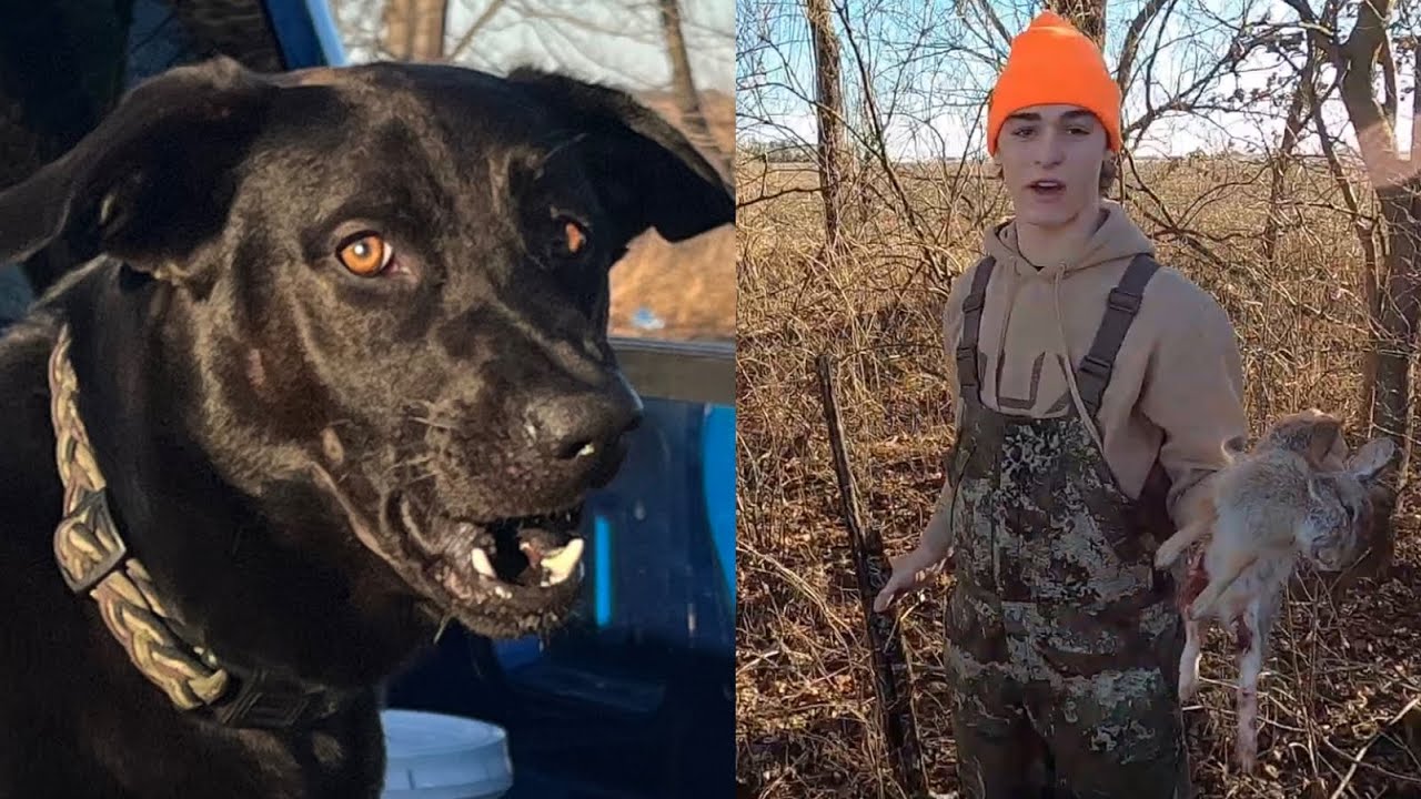 Rabbit Hunting with a CRAZY Dog (Clean & Cook) - YouTube