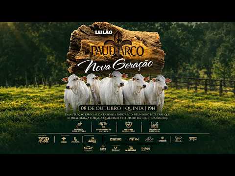 LOTE 26