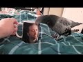 Quash the pigeon drinks out of Nicholas Cage mug