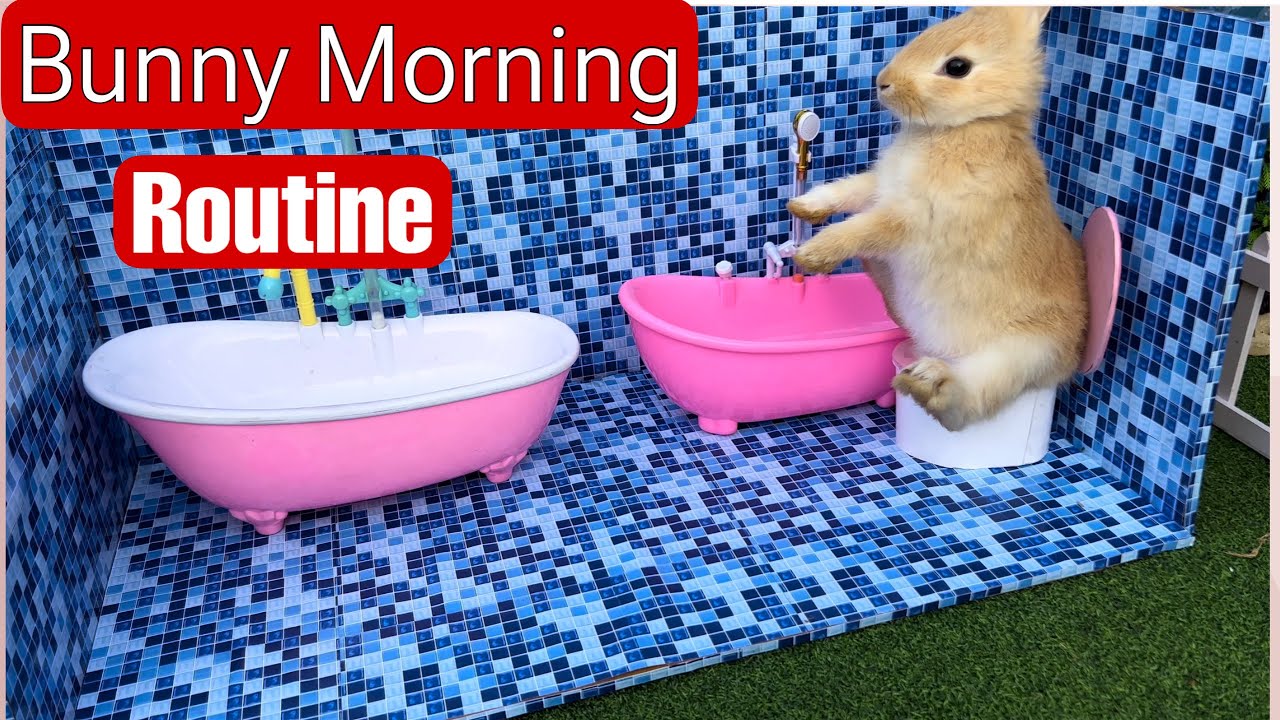 Bad Bunny Morning Routine | Life of Bad Bunny - YouTube
