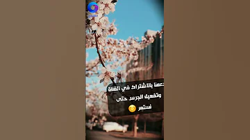 طالما اشكو غرامي محمد بشير 